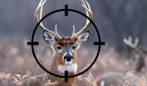 Deer Hunting Free Sniper Tips