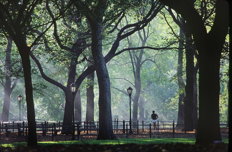 A peaceful landscape in Central Park, New York.