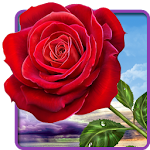 Cover Image of Download Rose. Magic Touch Flowers 1.7.1 APK