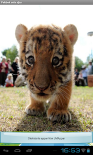 Pekbok Söta Djur Screenshots 17