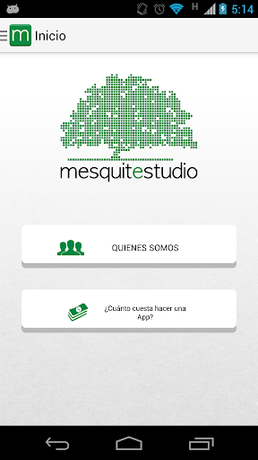 Mesquitestudio