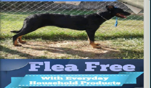 Flea Free