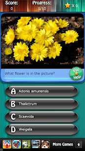Flowers and Blossoms Quiz HD Screenshots 2