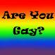 Are You Gay?