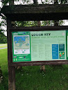 Lough Key Forest 