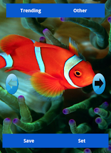 How to install Fish Wallpapers 1.0.0 unlimited apk for android