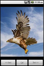 Animals World by Maviay® poster 1