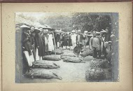 Mensen bij gevangen en aan stokken gebonden varkens, Frans-Indochina