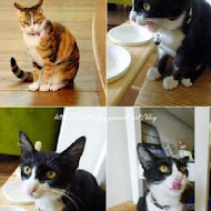 貓旅行咖啡輕食館