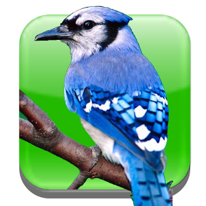 BirdWatch Calendar.apk 1.6.14