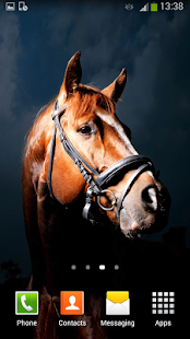 Download Horses Live Wallpaper APK for Android