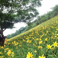 沐心泉休閒農場