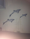 Hectors Dolphins Mural