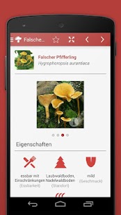 Pilze sammeln & bestimmen PRO Screenshots 4