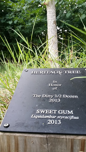 Heritage Tree - Sweet Gum