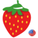 Fruit Dots Card (English)
