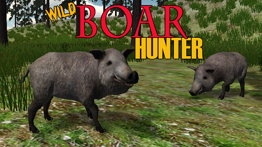 Boar Hunter 2014