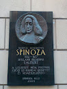 Spinoza Ház