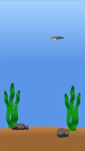 download Pet saya: katak free