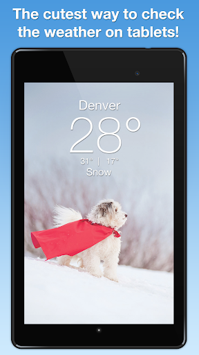 免費下載天氣APP|Weather Puppy app開箱文|APP開箱王