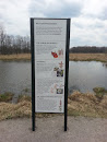 Swamp Vegetation Info Board