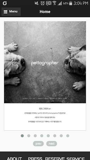 펫토그래퍼 Pettographer - 애완동물 사진