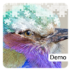 Bold Birds Jigsaw Puzzles Demo