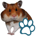 Rodents logo
