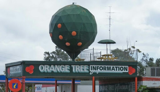 Waikerie Orange Tree