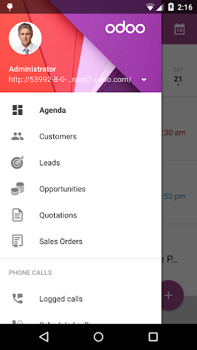 Odoo CRM BETA