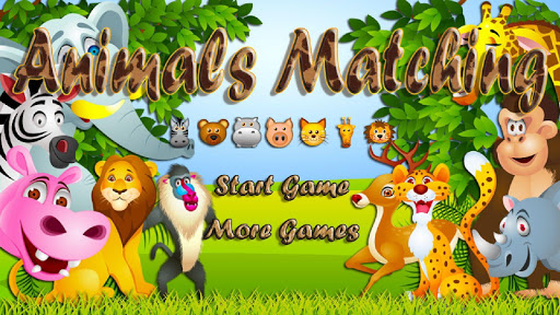 Animals Matching