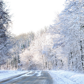 Beautiful winter by Stankowski Daniel - Landscapes Forests