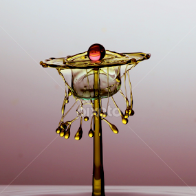 delima by Parjiyo Suwardi - Abstract Water Drops & Splashes