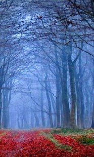 How to mod Where Is Red Hood Live Wallpap patch 1.0 apk for bluestacks