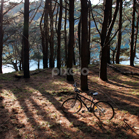 Lone bike by Kirsten Gamby - Artistic Objects Other Objects