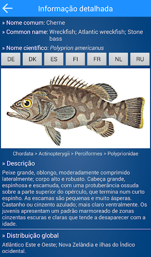 MadeiraFish