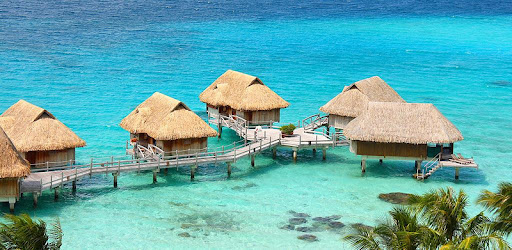 Photography Trainer -  apk apps