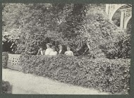 Vijf vrouwen op een rij achter een heg