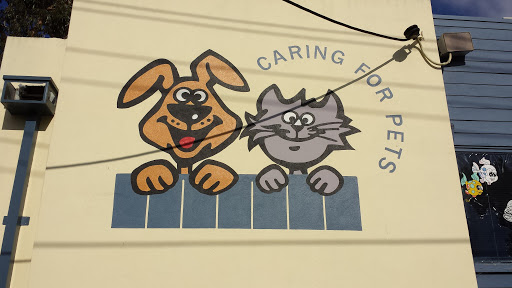 Caring for Pets  