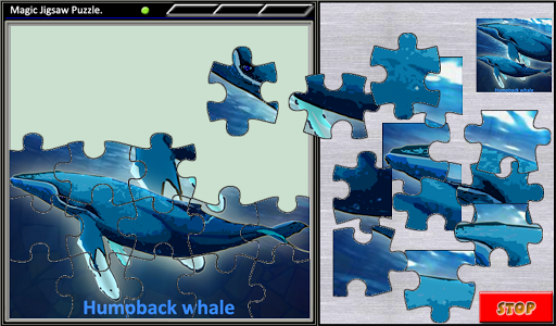 Magic Jigsaw Puzzle 3