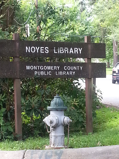 Noyes Library for Young Children