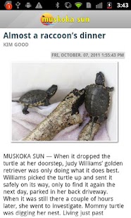 Free Download Muskoka Sun APK