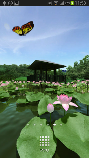 Lotus Pond 360°Trial