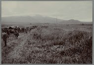 Nieuw bivak te Blangrakal