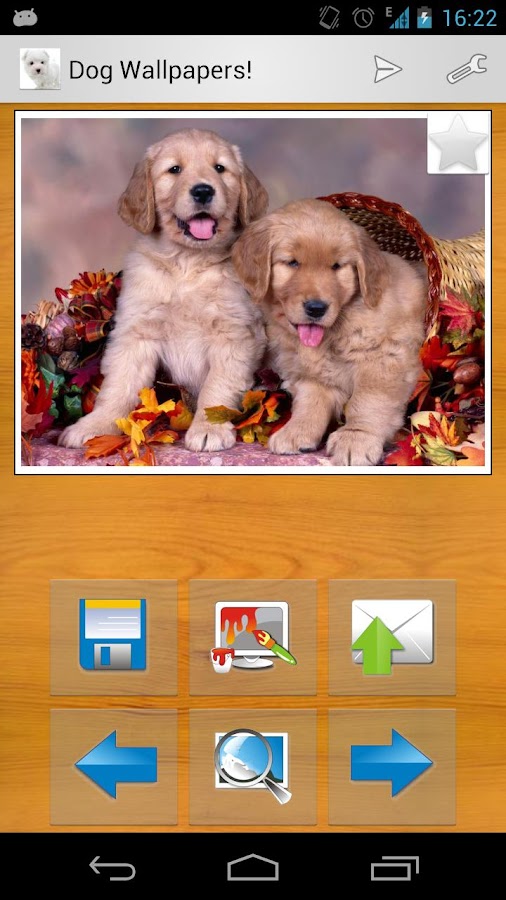 Dog Wallpapers! - Android Apps on Google Play
