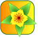 Bloom them all
