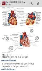 Dorland's Illustrated Medical