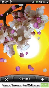 Sakura Blossom Live Wallpaper screenshot 2