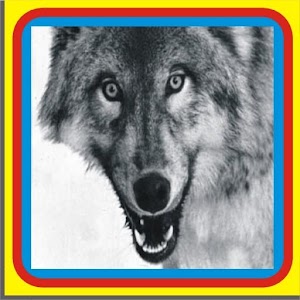 Wild Animals of North America.apk 2.0