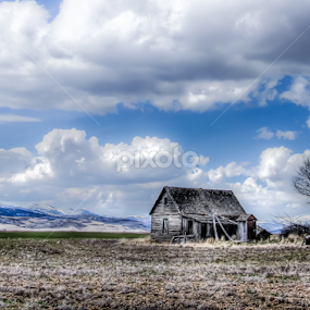 Grey Cabin And Blue Skys by Jim Moon - Buildings & Architecture Decaying & Abandoned